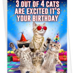Funny Birthday Card With Envelope Cat Card Bday Humor C3525BDG