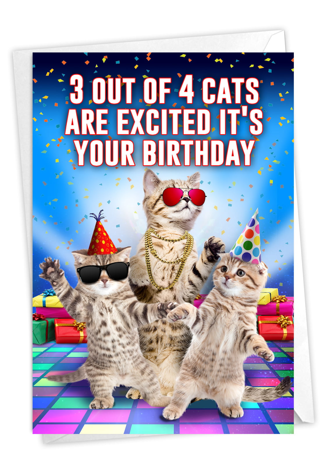 Funny Birthday Card With Envelope Cat Card Bday Humor C3525BDG 